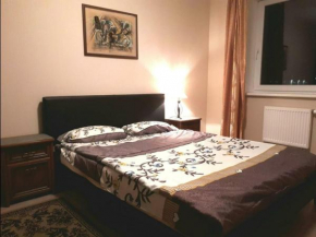 Vivo Apartment 11